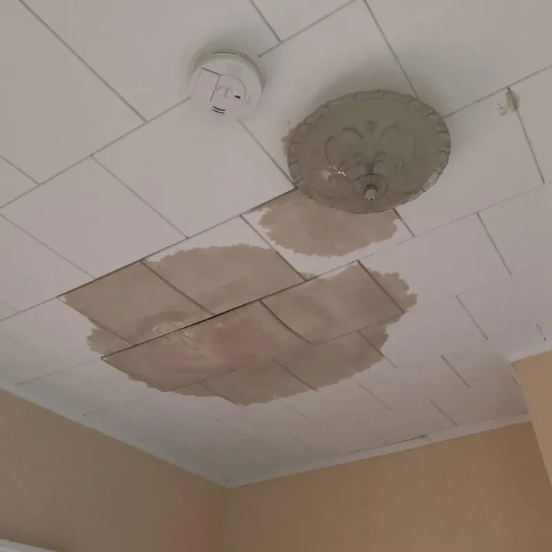Ceiling Water Damage Repair in Chatmoss, VA