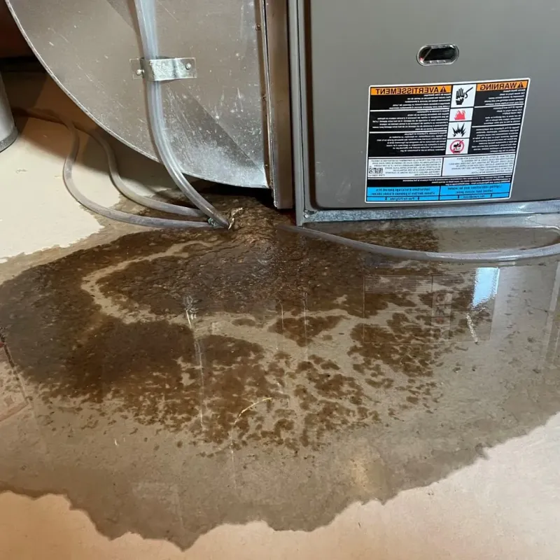 Pipe Burst and Leak Restoration in Chatmoss, VA
