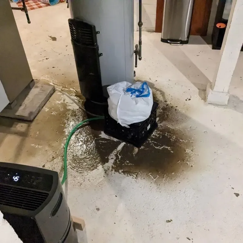 Sewage Backup Cleanup Service in Chatmoss, VA